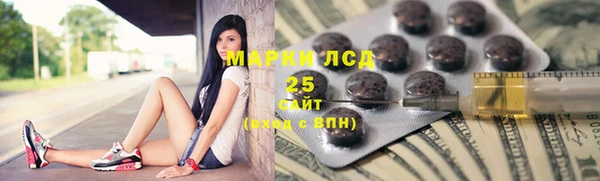 хмурый Абаза