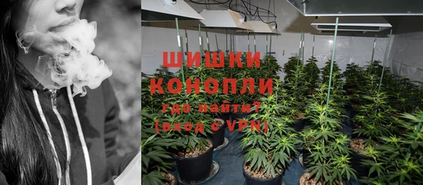 хмурый Абаза