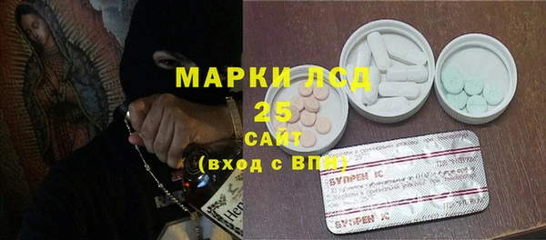 прущие грибы Новый Уренгой