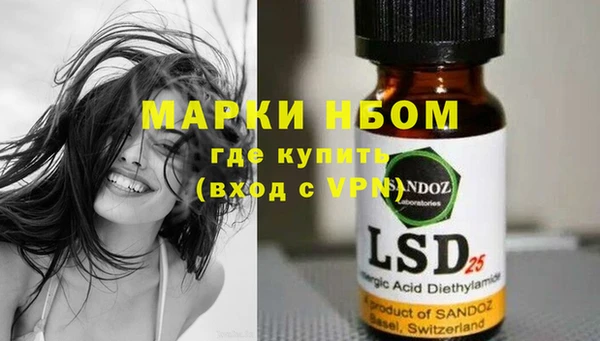 хмурый Абаза
