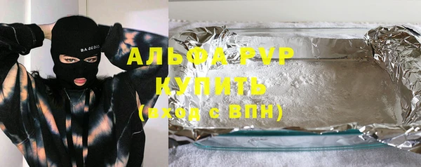 хмурый Абаза