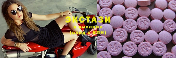 хмурый Абаза