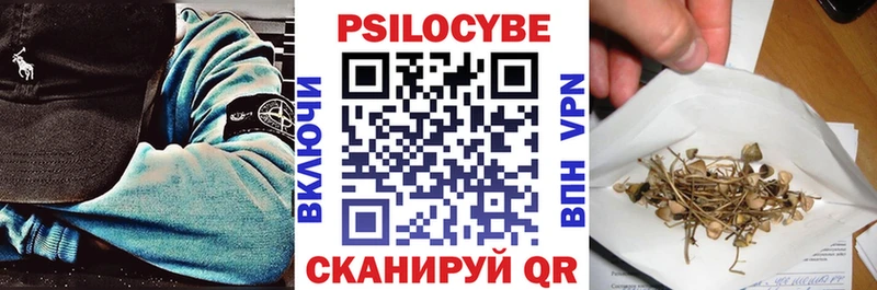 Псилоцибиновые грибы Magic Shrooms  где продают наркотики  Мосальск 